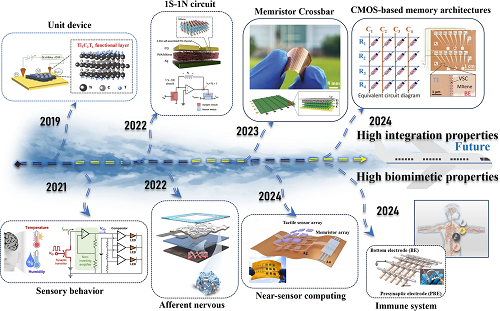 北航国新院樊瑜波等综述：基于MXene-